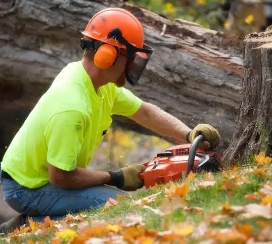 tree services Caldwell